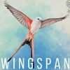 Wingspan