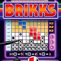 Brikks Engelsk