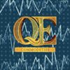 QE Commodities (HS-Code: 95049080)